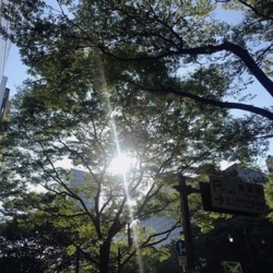 真夏！7月２日。 (1).jpg
