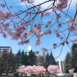 錦町公園　定禅寺のほうをむく (1).jpg