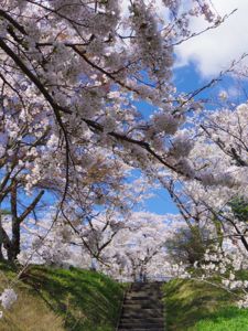 鹿ヶ城公園２.jpg