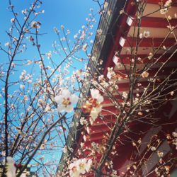 鹿島御児神社.jpg