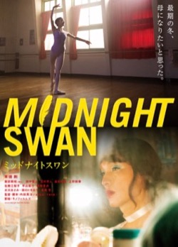 10−1midnight swan.jpg