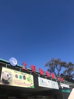 20180206上野動物園。.jpg