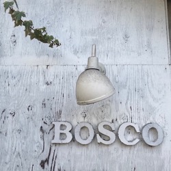 BOSCO (1).jpg