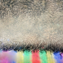 EB2032B9-2846-4ED7-B6E1-50D727C6812F.jpeg