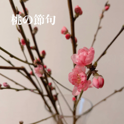 IMG_0351 (1).jpeg