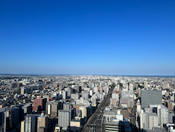 IMG_21755satsukibare.jpeg