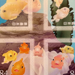 IMG_2744 (1).jpeg