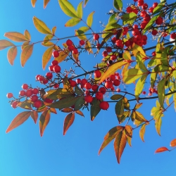 IMG_4657.jpeg
