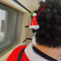 IMG_4688santa.jpeg