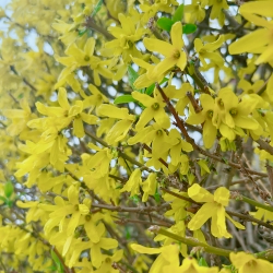 IMG_5990.jpeg