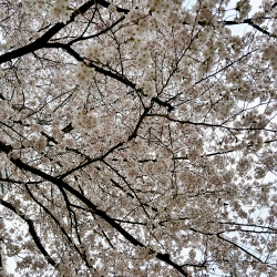 IMG_6397.jpeg