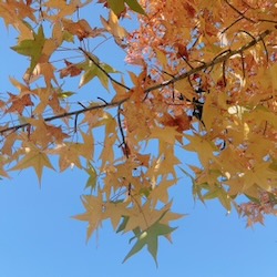 IMG_7671.jpeg