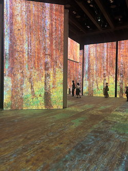 IMG_8651klimt.jpeg