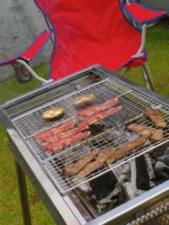 bbq%20and%20chair.jpg