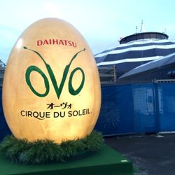 ovo%20egg.jpg
