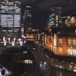 tokyo station2019 (1).jpg